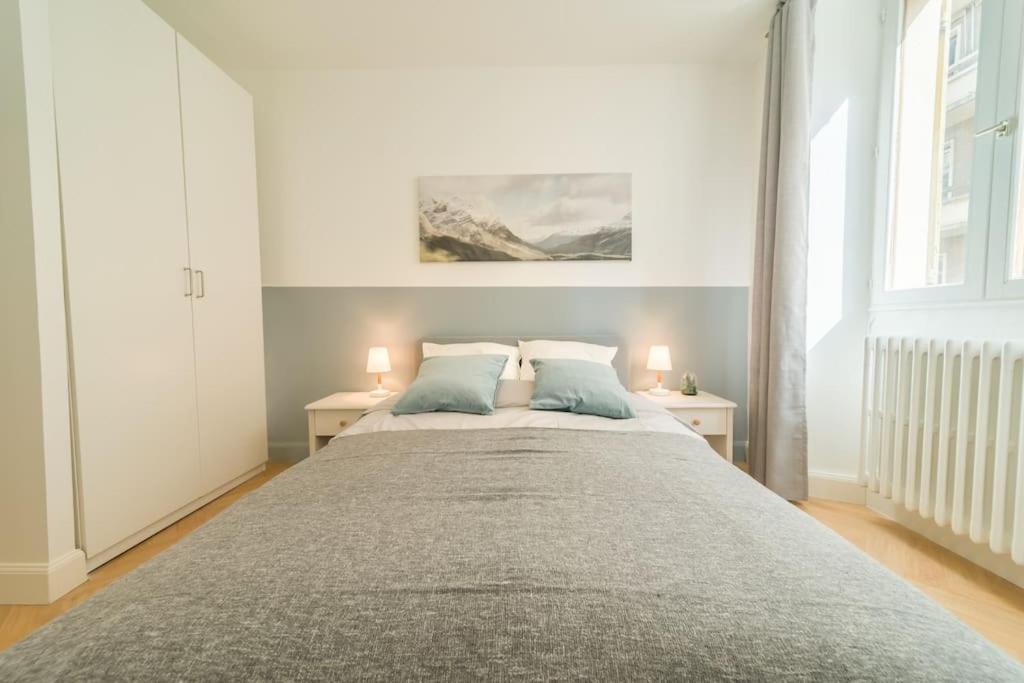Standing Et Confort, Emplacement Ideal Centre Ville, Vue Magnifique Chambery Exterior photo